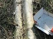 Amianto. ieri, oggi domani