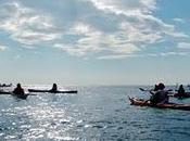 Searching Recco's bread...