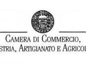 Camera Commercio Avellino: contributi imprese artigiane