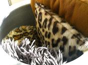 love with some stuff