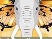 SEGNALAZIONE Farfalle sullo stomaco Rossella Calabrò