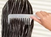 Capelli olio cocco: l'accoppiata vincente