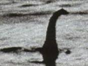 misteri della politica estera