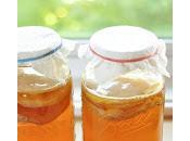 Kombucha, dalla fermentazione benessere