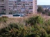 Sant’Elia, restyling palazzoni