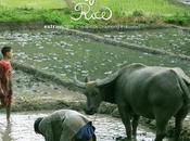 Festival delle Terre Premio Internazionale Audiovisivo Biodiversità