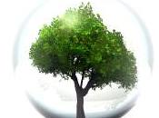 #Buccinasco settore ambiente territorio: ricognizione sullo stato attuazione programmi 2015