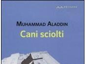 ‘Cani sciolti’ Muhammad Aladdin: spaccato Cairo