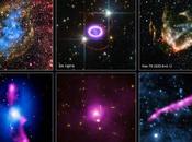 Tesori nascosti nell’archivio Chandra