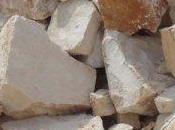 L'approccio dell'Omeopatia classica alla malattia cronica caso Kalium carbonicum