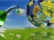 13/10/2015 Biocarburanti: assolvimento automatico obbligo rinvio