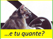 #Buccinasco Stringiti alla vita