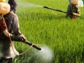 Tossicodipendenza pesticidi: minaccia l'ambiente catena alimentare