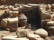 Scoperta villa dove produceva Falernum