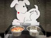 Successo Toledo della ciotola cani randagi