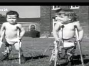 Vaccini: lobby tutte insieme pompa magna