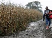 Croazia riapre frontiera Serbia migranti