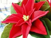 Come fare stella Natale feltro