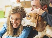 Vinci Swiffer Desideri Magazine