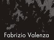 SEGNALAZIONE Scarafaggi Fabrizio Valenza