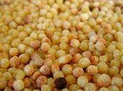 Pasta, agnello formaggi Sardegna Expo