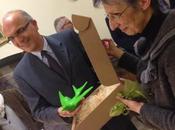 SIENA: GIOCA L’ARTE rondini volano Contrada Cracking