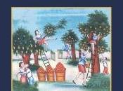 vichinghe volanti racconto Camilleri (incipit)