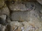 Scoperta tomba delle "Foglie d'Oro"