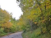 Silenzi
