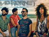 Hornet, brano online disco sulle piattaforme digitali