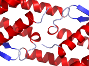 Immunologia: interleuchina (IL-1)