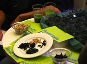 Mangiare insetti alghe: nostra esperienza pratica.