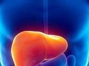 Rimedi naturali mantenere fegato salute