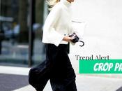 #TREND ALERT: Crop Pants!
