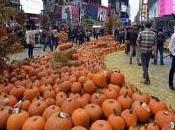 USA: zucche Halloween dinventano biocarburante