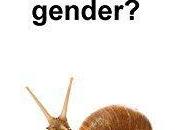 “Chi paura gender?” Paola Petrucci affronta l’argomento libro