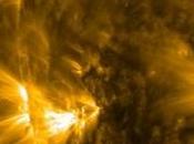 Campi magnetici larga scala