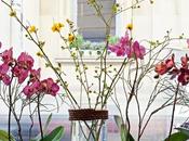 Bouquet Bistrot