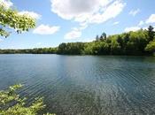 Thoreau Stato