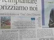 Reimpiantare olivi Salento