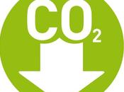 16/11/2015 contributo dell'Efficienza Energetica