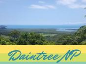 Queensland: Daintree Mossman Gorge, Cape Tribulation