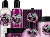 linea Frosted Plum Body Shop