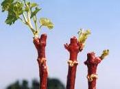 trattamento acqua calda (HWT) Raffaele Fitto: “L’Europa fida nostri ricercatori”.