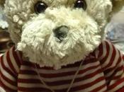 Teddybear rosso