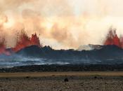 L’addio dinosauri, nuova teoria