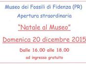 Natale Museo fossili