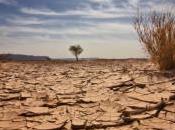 Lombardia: Commissione Ambiente, Risoluzione unanime sulle politiche regionali cambiamento climatico