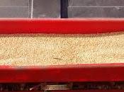 Semina farro grano novembre 2015