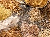 Tipi cereali: proprietà energetiche nutrizionali